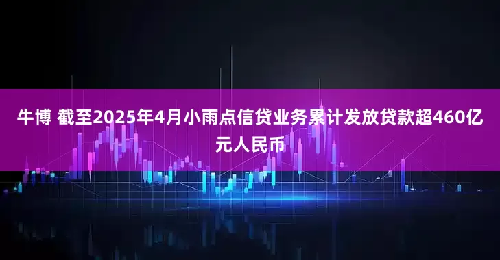 牛博 截至2025年4月小雨点信贷业务累计发放贷款超460亿元人民币