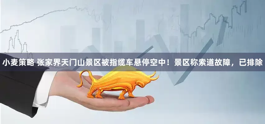 小麦策略 张家界天门山景区被指缆车悬停空中！景区称索道故障，已排除