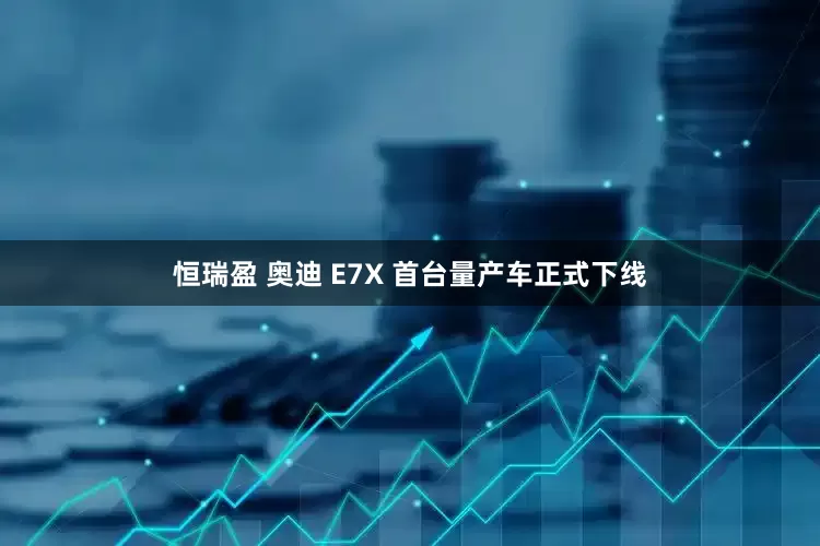 恒瑞盈 奥迪 E7X 首台量产车正式下线