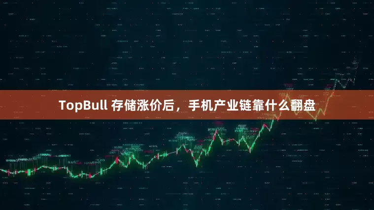 TopBull 存储涨价后，手机产业链靠什么翻盘